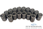 Valve Spring Kit